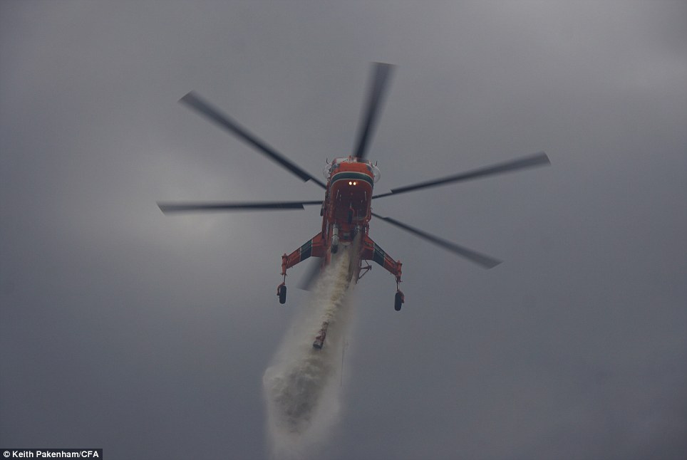 澳大利亞山火吞噬煤礦連燒三周 場景震撼似“火龍”