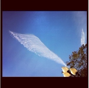 日本屢現奇形怪狀的地震云 形成原因說法不一