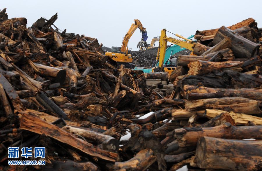 日本3·11大地震一周年:“加油!東北災區!”