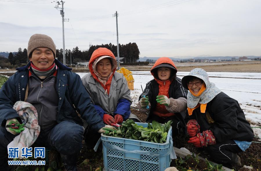 日本3·11大地震一周年:“加油!東北災(zāi)區(qū)!”