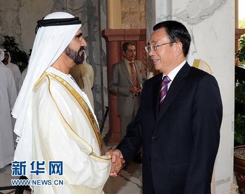 賀國(guó)強(qiáng)會(huì)見(jiàn)阿聯(lián)酋副總統(tǒng)兼總理