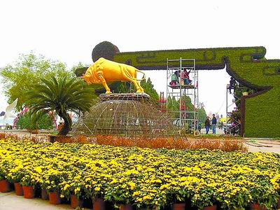 第27屆中國開封菊花花會鮮花總數(shù)達60萬盆