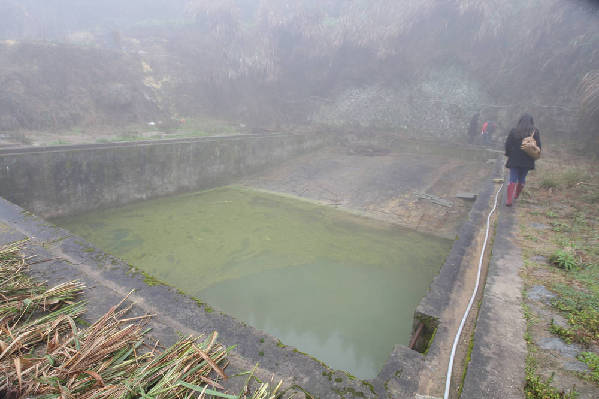 習近平助美國老人圓夢福州鼓嶺