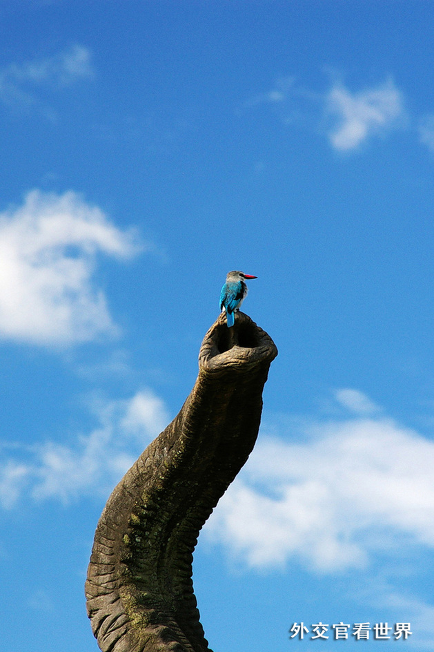 和諧一曲（優(yōu)秀獎(jiǎng)）