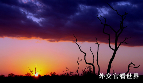 落日余暉（優秀獎）