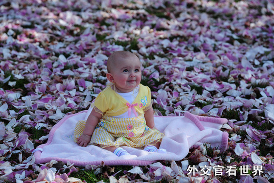 童真（優秀獎）