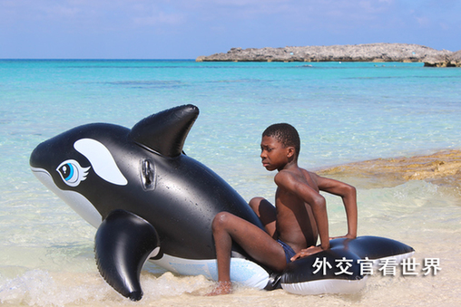 乘風破浪待有時