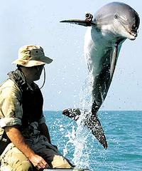 俄軍極地訓(xùn)練海豹海豚