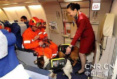 專家：中國軍隊應準備擔負更多境外非戰爭任務