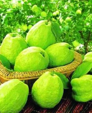 精致討喜的臺灣水果禮盒 搶攻大陸春節市場