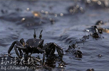 聯合國呼吁停火3天 黎巴嫩遭嚴重環境污染