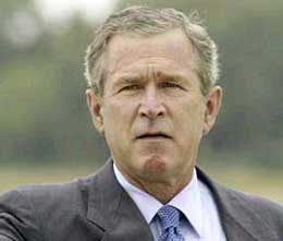 布什：內(nèi)賈德和拉登是同類人物