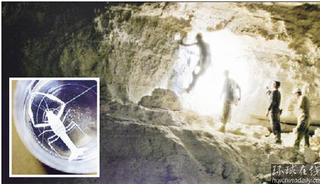 國土報：以科學家聲稱發(fā)現(xiàn)史前生物