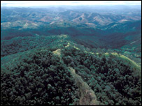 英出資助華植被保護戰略 保護生物多樣性