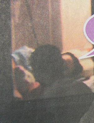 李亞鵬寸步不離守護(hù)王菲(圖)