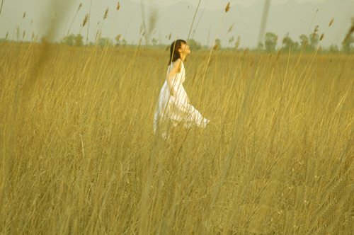 徐靜蕾初露歌喉 首支單曲封面曝光(圖)