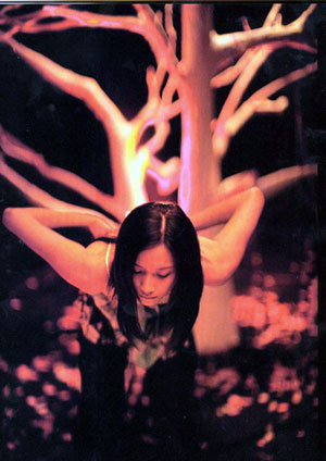 徐靜蕾夢(mèng)幻寫(xiě)真秀美腿