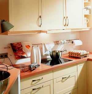 06年主婦最愛的新品櫥柜(圖)