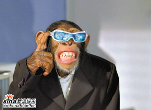 幽默神探小猩猩現《金剛歸來》(圖)