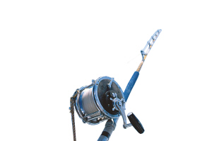 旅行家差點被鯊魚拖下海(圖)