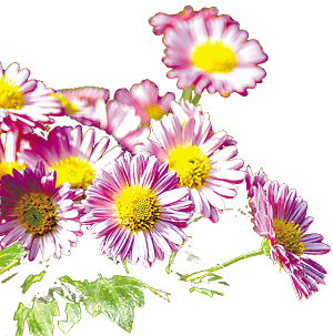 九九重陽(yáng)吃皇齋放風(fēng)箏(圖)