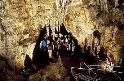 世界奇觀:新西蘭螢火蟲洞