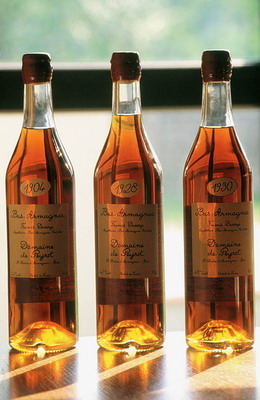 歲末環(huán)球出游攻略