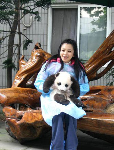 臺灣藝人徐若瑄成都認養大熊貓寶寶“小嬌子”