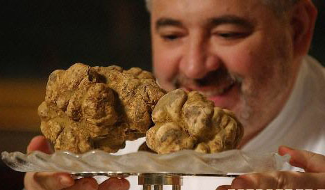 罕見(jiàn)白松露菌價(jià)值95萬(wàn)港幣