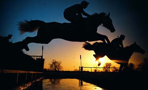 馬術 源自西方紳士運動
