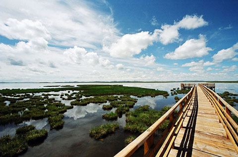 花湖 簡單安靜卻讓人燃燒