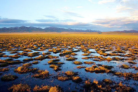 花湖 簡單安靜卻讓人燃燒