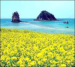 情人節(jié) 邂逅浪漫的地方