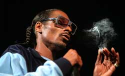 史諾普?道格被控非法攜帶槍支大麻(圖)