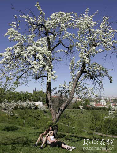 早春布拉格的午后時光