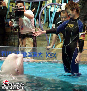 《勇往直前》再發(fā)力 李宇春與小白鯨共舞(圖)