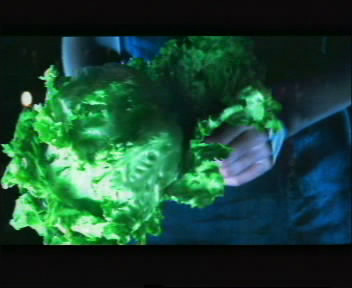 包菜的美麗傳說