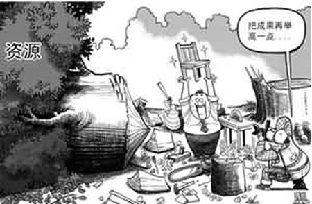 一棵樹(shù)只做一把椅子