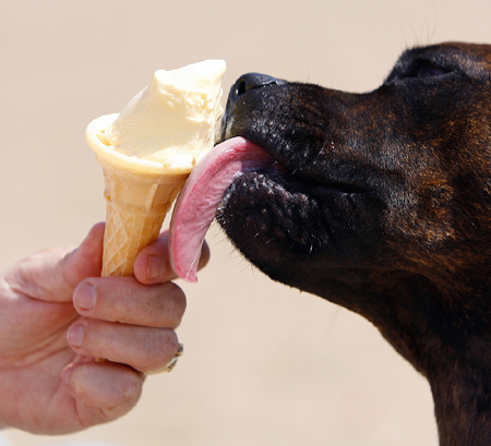 東西世界“水深火熱” 如何應(yīng)對(duì)自然界殺手?