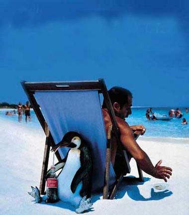 我的可樂(lè)呢？