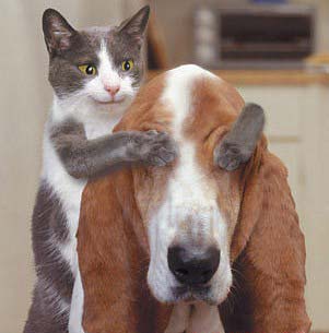 親愛(ài)的，猜猜我是誰(shuí)？