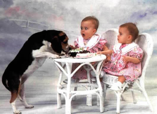 大膽狗狗！竟敢偷吃