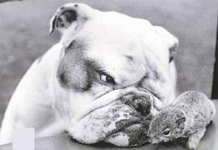 別惹我，煩著呢！