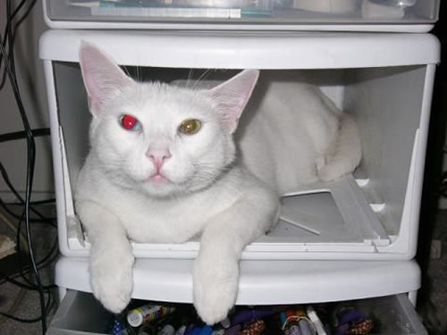 我想有個(gè)家之三