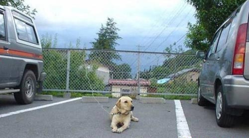 霸占車位的好辦法