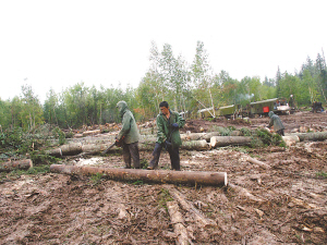 赤塔州長(zhǎng)積極信息 俄遠(yuǎn)東需大批中國(guó)勞工