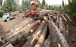 海外商機:去俄羅斯開木材加工廠紀實