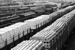 出租森林引發爭議 俄羅斯激辯中國話題