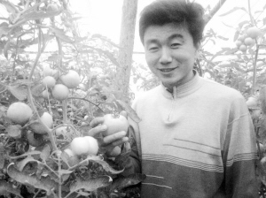 勤勞能干口碑好 中國菜農遍布俄羅斯