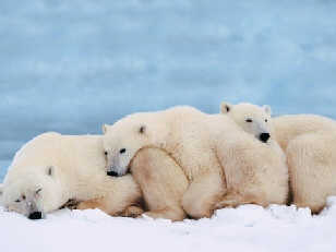 氣候報告為各國增壓 中國不應受西方指責